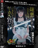 超 破壊版【極秘流出】 皆瀬あかり リメイク 